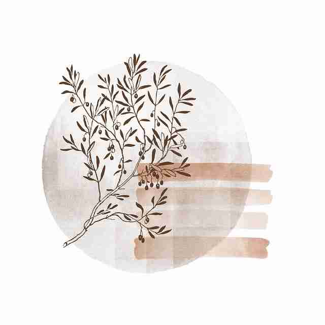 吃瓜51热度指数:算法背后的舆情温度计